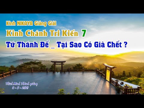 Kinh NIKAYA Giảng Giải - Tứ Thánh Đế _ Tại Sao Có Già Chết ? _ Kinh Chánh Tri Kiến 7