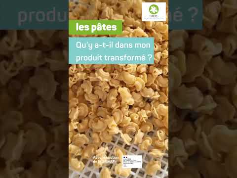 Vignette d'aperçu de la vidéo