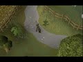 Boulevard of Broken dreams - Runescape style