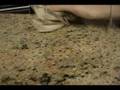 Granite Shield VS Stonemark Granite by Home Depot