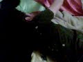 Video003 Video003