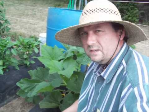 how to control the t in squash