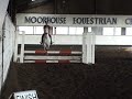 Paul & Apollo at Moorhouse Clear Round Show Jumping