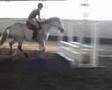 Paul & Apollo at Moorhouse Clear Round Show Jumping