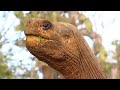 Team Explorer visits the Galapagos!