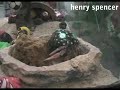 http://www.lahabitaciondehenryspencer.com He despertado un repentino cariño por los animales. Tal vez todo sea gracias a esos hermosos patos que dan vueltas alrededor de mi hogar. Pensé sería divertido visitar la tienda de mascotas. Más videos en http://www.lahabitaciondehenryspencer.com