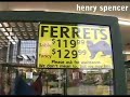 videodiarios lc: visitando la tienda de mascotas