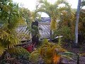 This is the sound of the tsunami warning siren as heard in my front yard this morning in Kailua Hawaii.