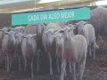 Super en el Dani