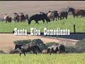 Santa Elba Comediante - Cavalo Crioulo Butiá