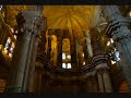 photos of trinity college, ely cathedral and lady chapel, malaga cathedral.