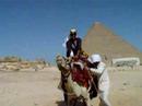 Ang on a Camel at the Giza Pyramids