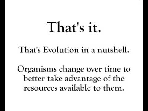 how to define evolution