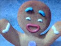 The Gingy Video