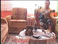 GiTaR mustafa (g�rd�?�meSevindim)ENsevdi?im eser duygu y�kl�