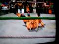 sting scorpion deathdrop