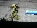 How to Make a Clone in Halo 3 (no Hacks)