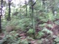 cuiping mountain garden, yibin