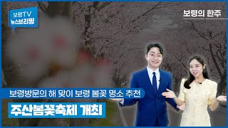 뉴스브리핑 | 주산봄꽃축제 개최