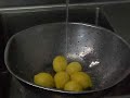 Lemon Bacteria