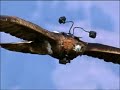 vista de pajaro