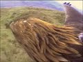 vista de pajaro