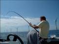Sea Fishing Rhyl July 2006
