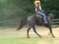 Texas Annie under saddle Texas Annie under saddle