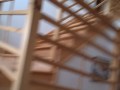 Contemporary Sleek wood Stairs and railing Contemporary Sleek wood Stairs and railing