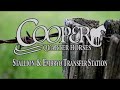 Horse Breeding- Don't Skip Zip Showcase-Cooper QH