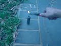 Re: fire crackers Re: fire crackers