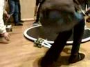 Cosmobot 2008 - Sumo - mogollon