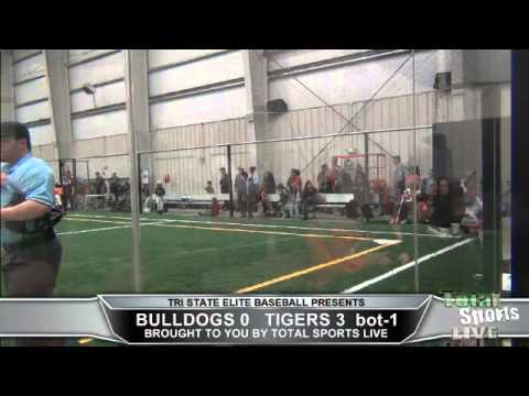 Bulldogs vs Tigers - Game #2  |  Gametime Start 2:15pm
