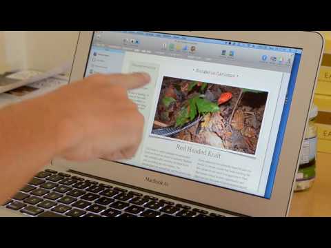 11 inch - Macbook Air 11 and 13 Inch computers are the ULTIMATE notebook computers on the market today. I'm saying that from a writer's perspective. I've had my 11 inc...