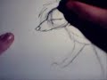 how to draw a wolf