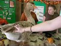 The Fair: Fast Rides! Woo Hoo! And Animals Too =)