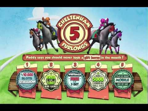 paddy power cheltenham