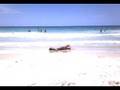 videos de Gory gira en 5a playa.mp4
