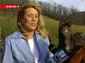 Horses Found Dead, Starving In South Huntingdon