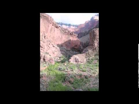 grand national results