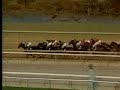 1990 NYRA Mile - Quiet American