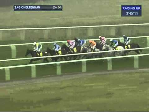 racing cheltenham