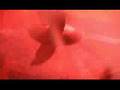 Anathema - Forgotten Hopes (Were You There) Thumbnail