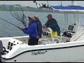 Block Island Striped Bass Block Island Striped Bass