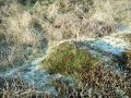 Blinde.wmv