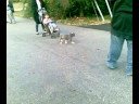 C:\\Users\\HOMIE47\\Pictures\\20081006\\10052008022