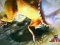 videos de Dino pase (2).3gp