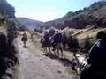 Horseback Adventure in Chimborazo Highlands