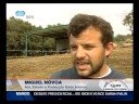 Preservar os burros