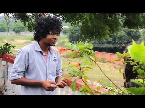 Paarvai TAMIL SHORT FILM WITH SOCIAL MESSAGE short film Paarvai TAMIL SHORT FILM WITH SOCIAL MESSAGE short film
